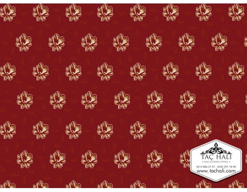 Taç Yurt Halısı ADDB 12