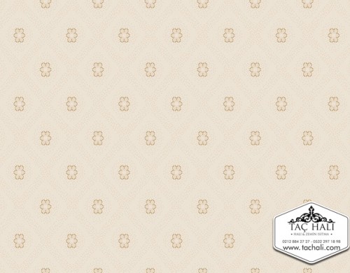 Taç Yurt Halısı ADDB 02