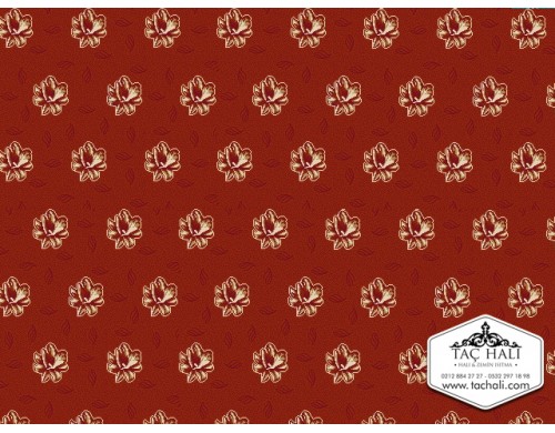 Taç Yurt Halısı ADDB 13