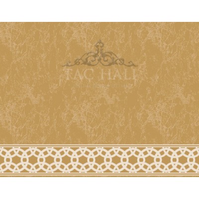 Taç Cami Halısı ASB 46