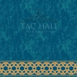 Taç Cami Halısı ASKM 46