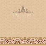 Taç Cami Halısı ASKM 56
