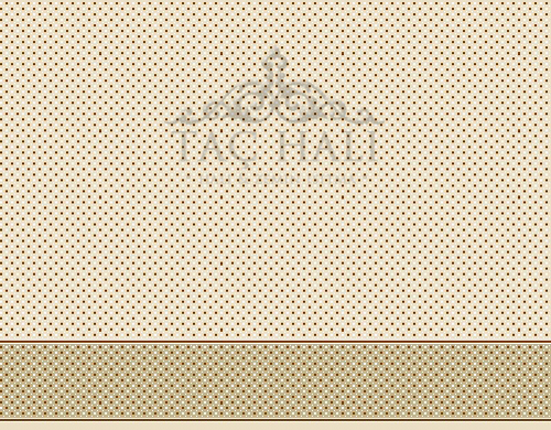 Taç Cami Halısı ASN 11