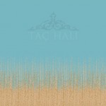 Taç Cami Halısı ASB 52