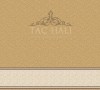 Taç Cami Halısı ASB 02