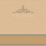 Taç Cami Halısı ASB 02