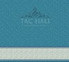 Taç Cami Halısı ASB 02