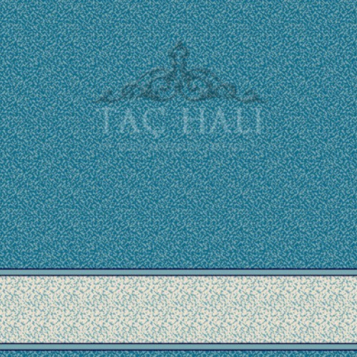 Taç Cami Halısı ASB 02