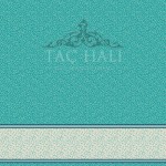 Taç Cami Halısı ASB 02
