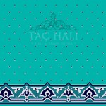 Taç Cami Halısı ASB 06