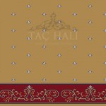 Taç Cami Halısı ASB 17