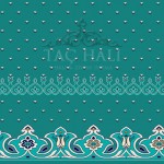 Taç Cami Halısı ASB 20