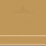 Taç Cami Halısı ASB 64