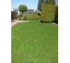 Çim Halı 28 mm Sarı Otlu Çim Halı 28 mm Sarı Otlu