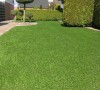 Çim Halı 28 mm Sarı Otlu