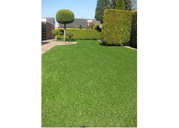 Çim Halı 28 mm Sarı Otlu