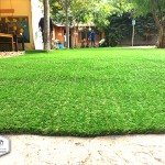 Çim Halı 30 mm Sarı Otlu