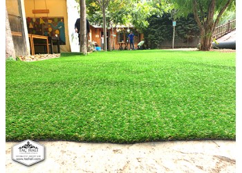 Çim Halı 30 mm Sarı Otlu