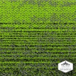 Karo Halı Charmaine 05 Karo Halı Charmaine 05