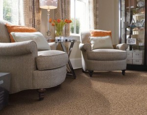 Majör 11 Bukle Halı