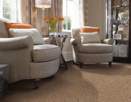 Majör 11 Bukle Halı