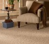 Elegant 04 Tafting - Tüylü Halı