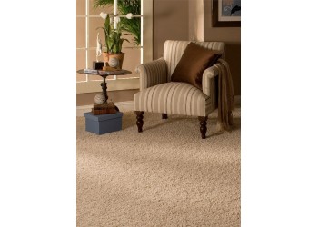 Excelcior Somon Tüylü Halı Excelcior Somon Tüylü Halı