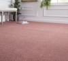 Excelcior Rose Tüylü Halı