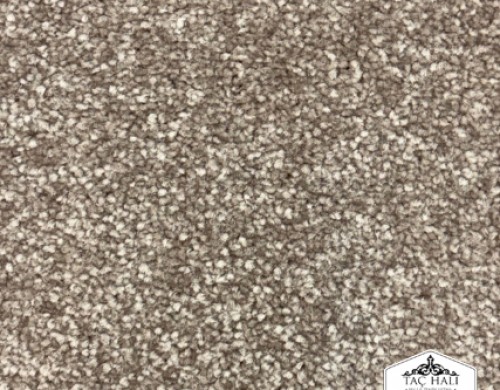 Excelsior Vizon Excelsior Vizon