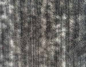 Garden Extra Serisi 1905