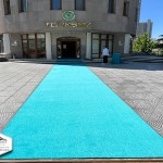 Prokotol Yolluk Tüylü Prokotol Yolluk Tüylü