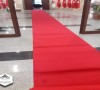 Prokotol Yolluk Tüylü
