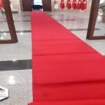 Prokotol Yolluk Tüylü Prokotol Yolluk Tüylü