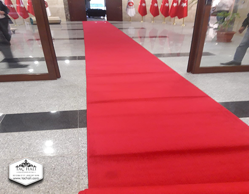 Prokotol Yolluk Tüylü Prokotol Yolluk Tüylü