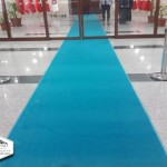 Prokotol Yolluk Tüylü Prokotol Yolluk Tüylü