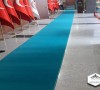 Prokotol Yolluk Tüylü
