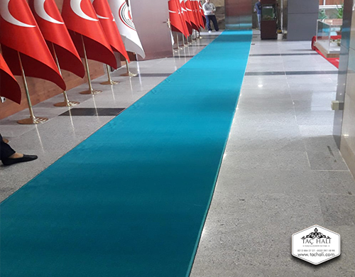 Prokotol Yolluk Tüylü Prokotol Yolluk Tüylü