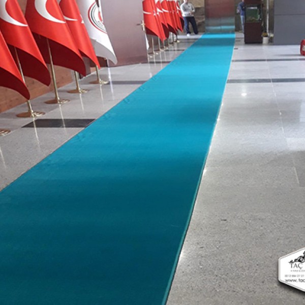 Prokotol Yolluk Tüylü